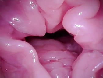Watch Breathe Coaster's Labia get a camera in POV - A hymen fetish video!